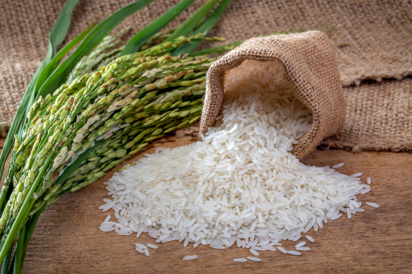 rice