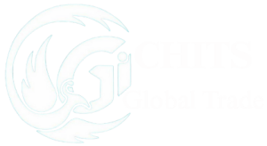 CHITS International Group Company Logo