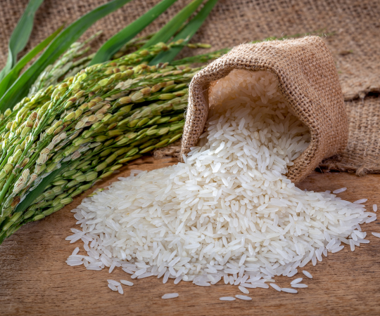 Rice