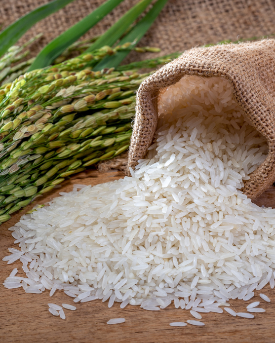 Rice