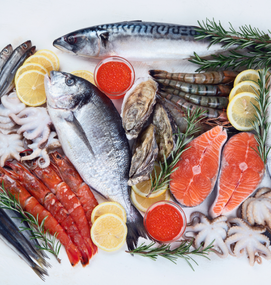 Live-Fish
