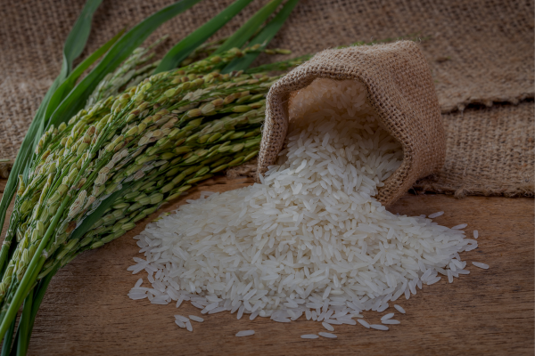 Rice-non-basmati