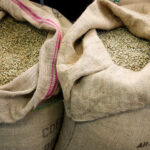 Green_Beans